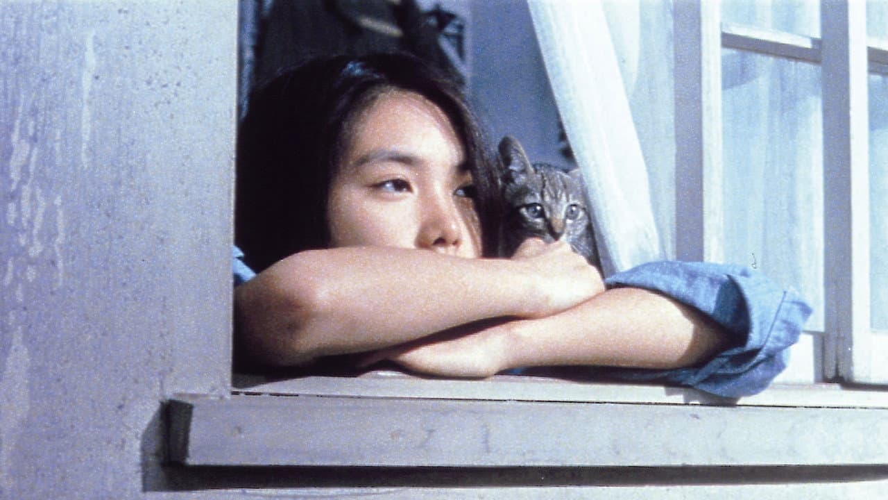 Play it, Boogie-Woogie (1981) backdrop