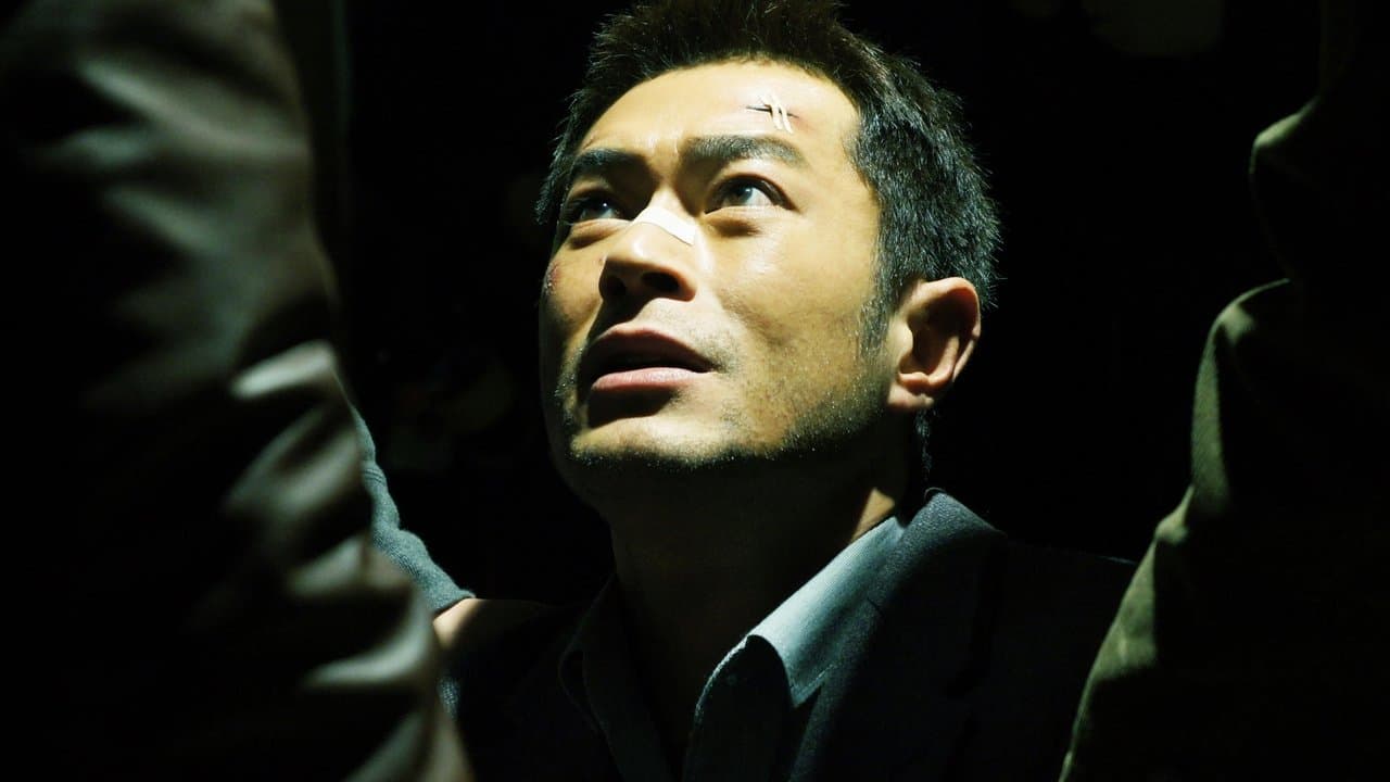 Drug War (2012) backdrop