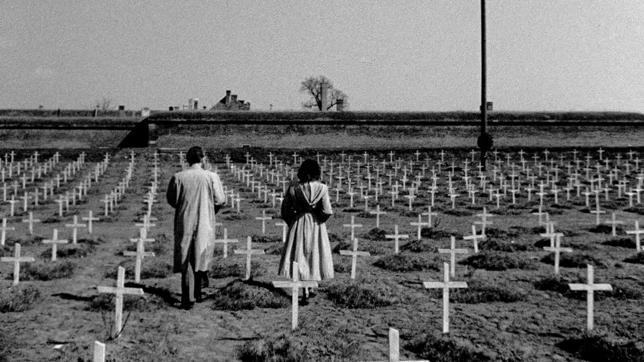 Distant Journey (1950) backdrop