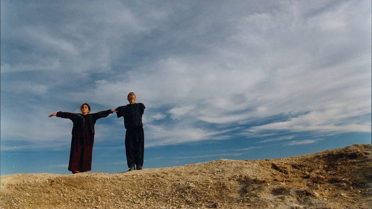 Turtles Can Fly (2004) backdrop
