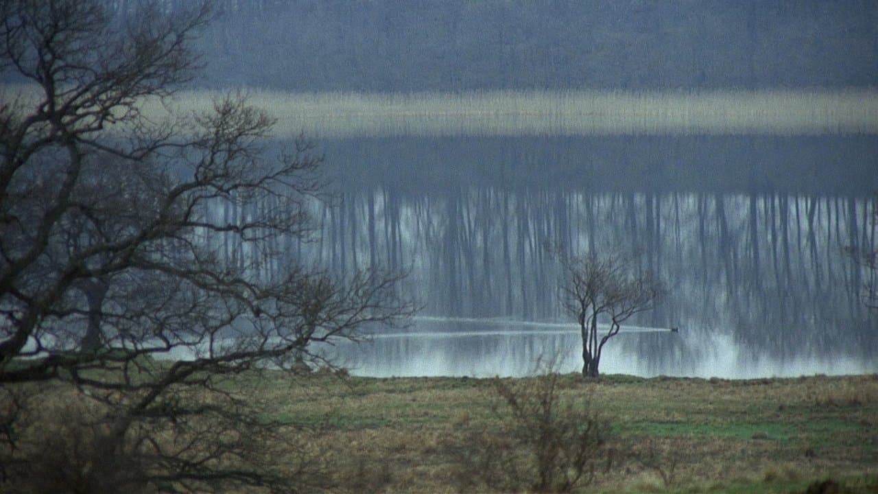 The New Land (1972) backdrop