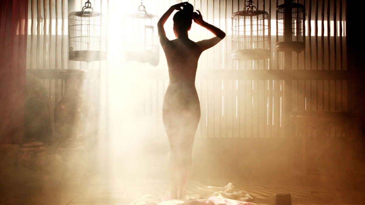 Portrait of a Beauty (2008) backdrop