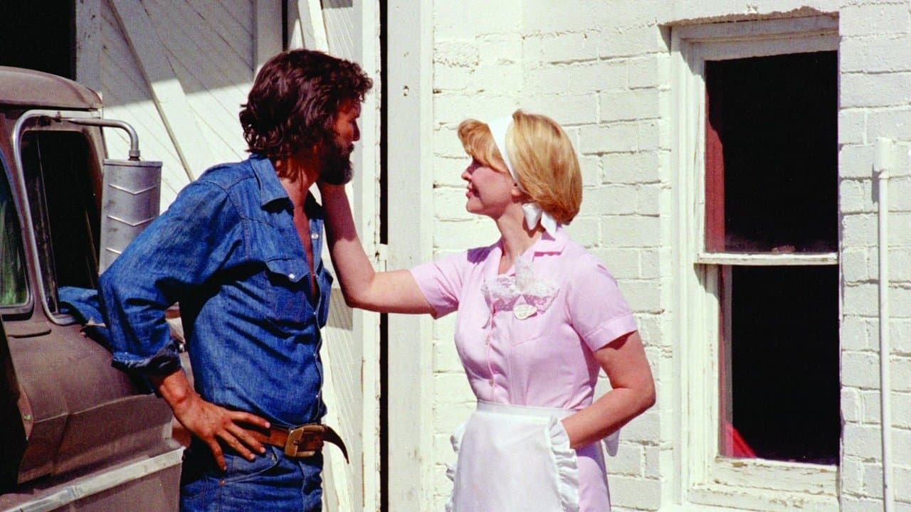 Alice Doesn’t Live Here Anymore (1974) backdrop