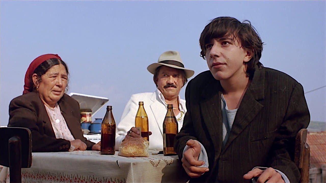 Time of the Gypsies (1988) backdrop