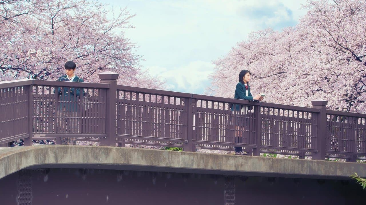 Let Me Eat Your Pancreas (2017) backdrop