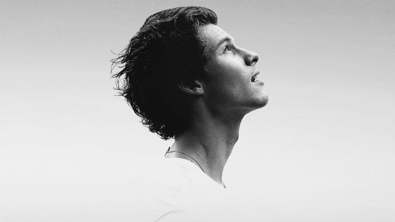 Shawn Mendes: In Wonder (2020) backdrop