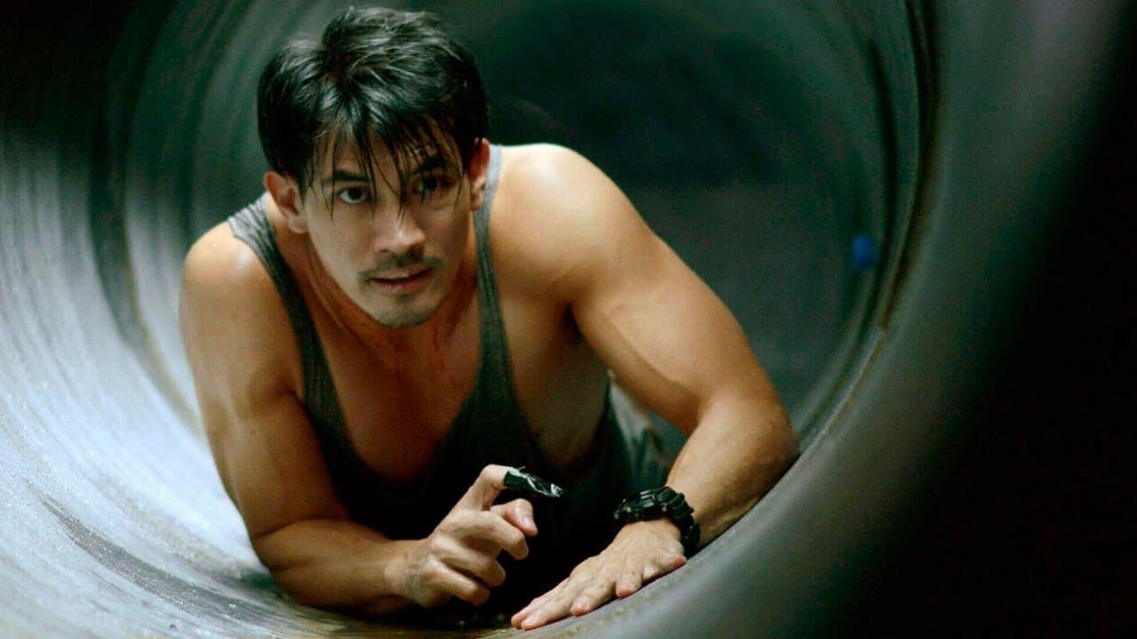 The Pool (2018) backdrop