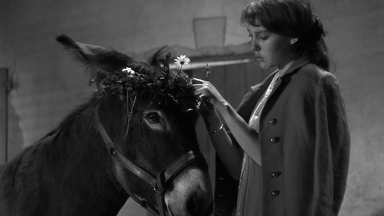 Au Hasard Balthazar (1966) backdrop
