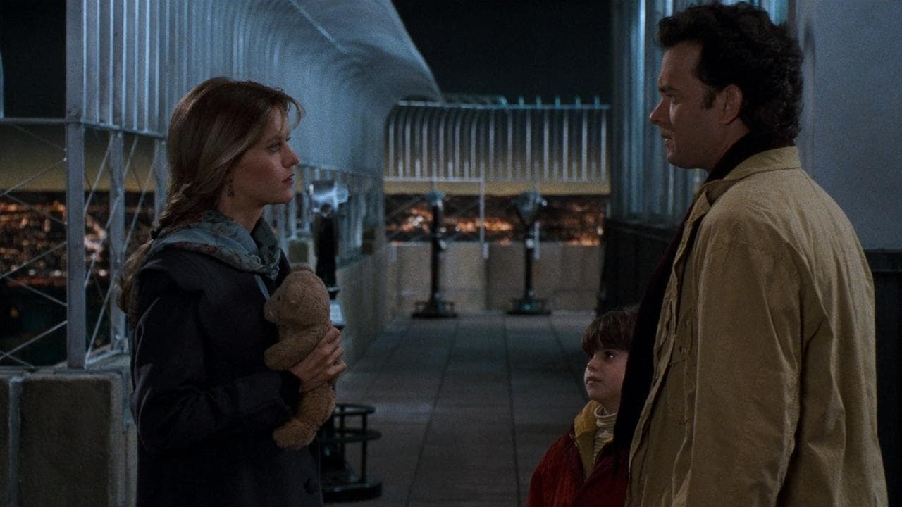 Sleepless in Seattle (1993) backdrop