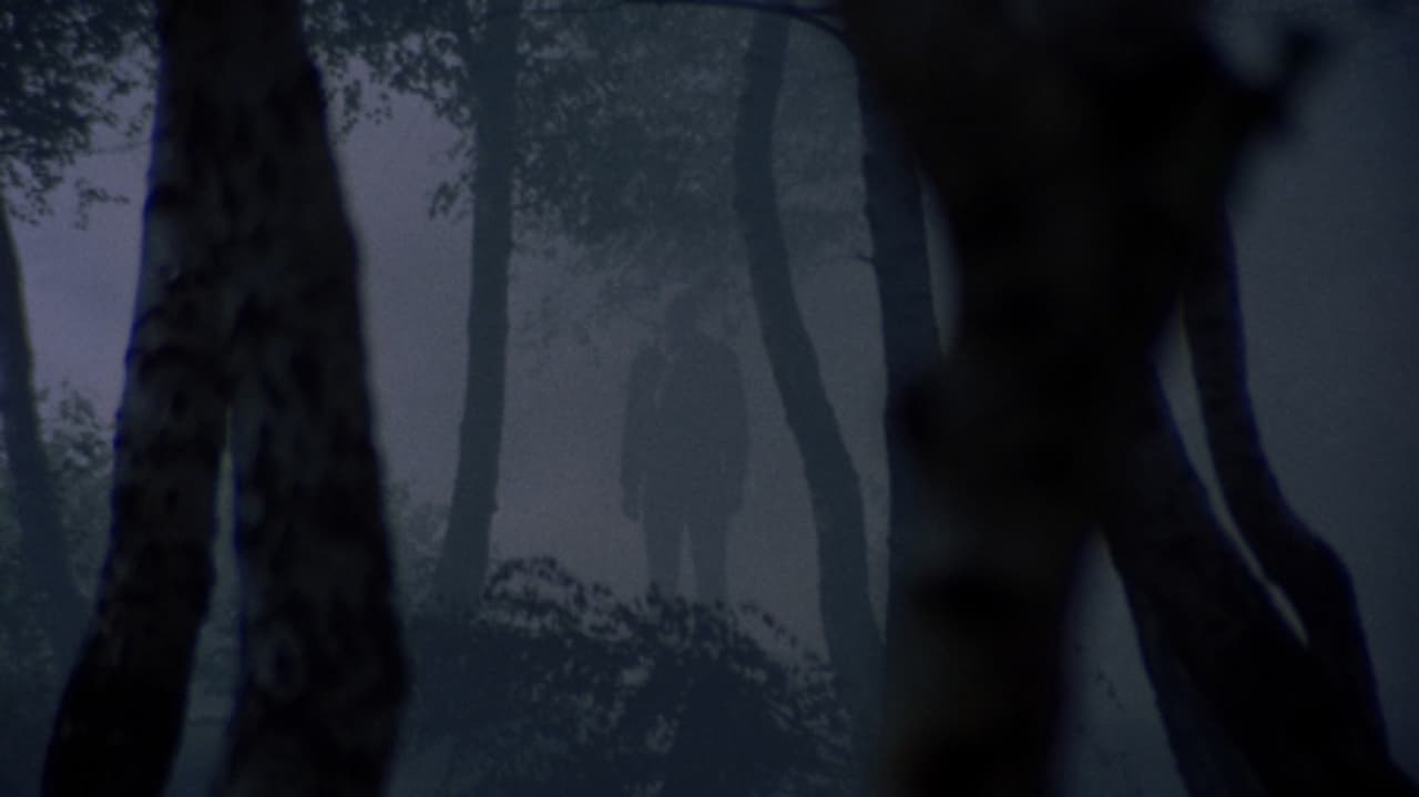 Torso (1973) backdrop