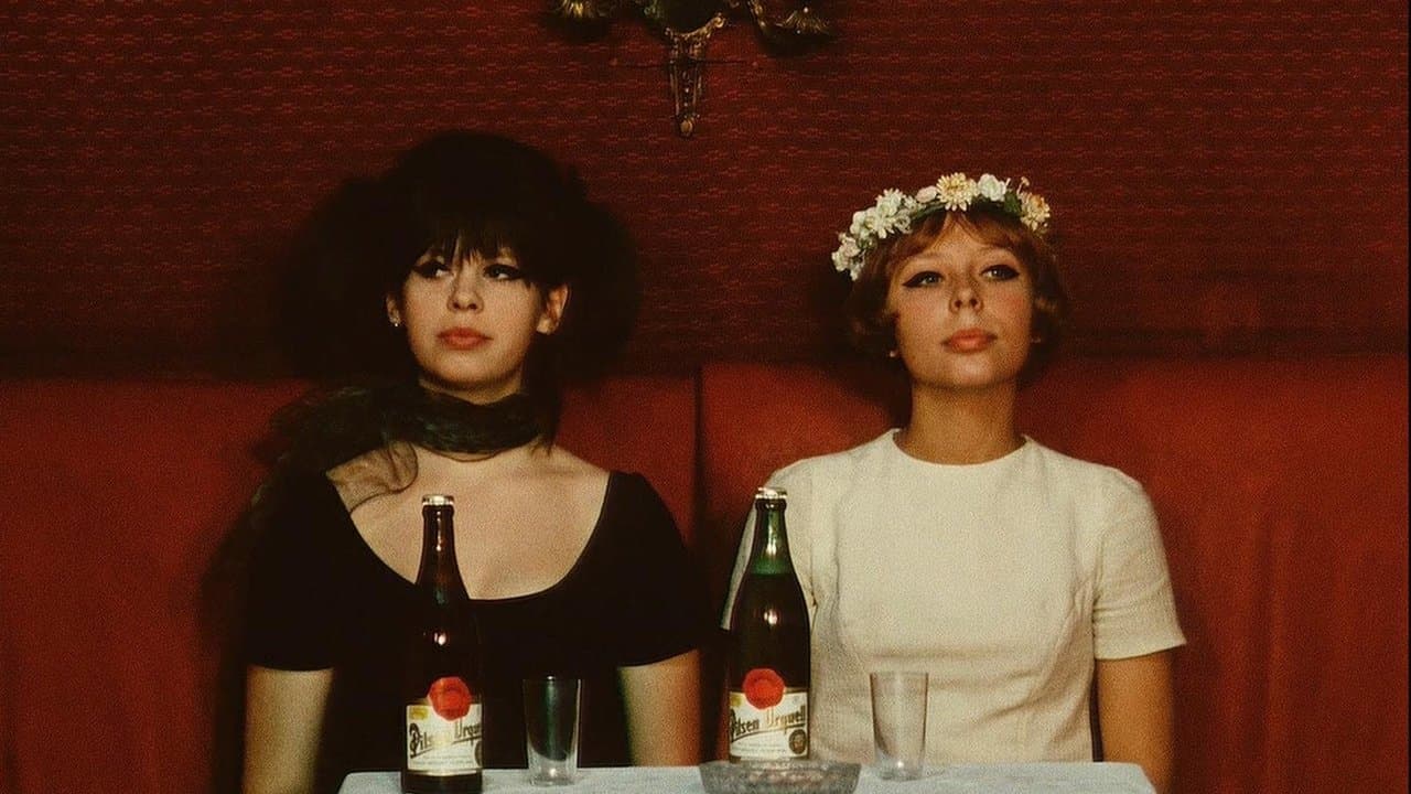 Daisies (1966) backdrop