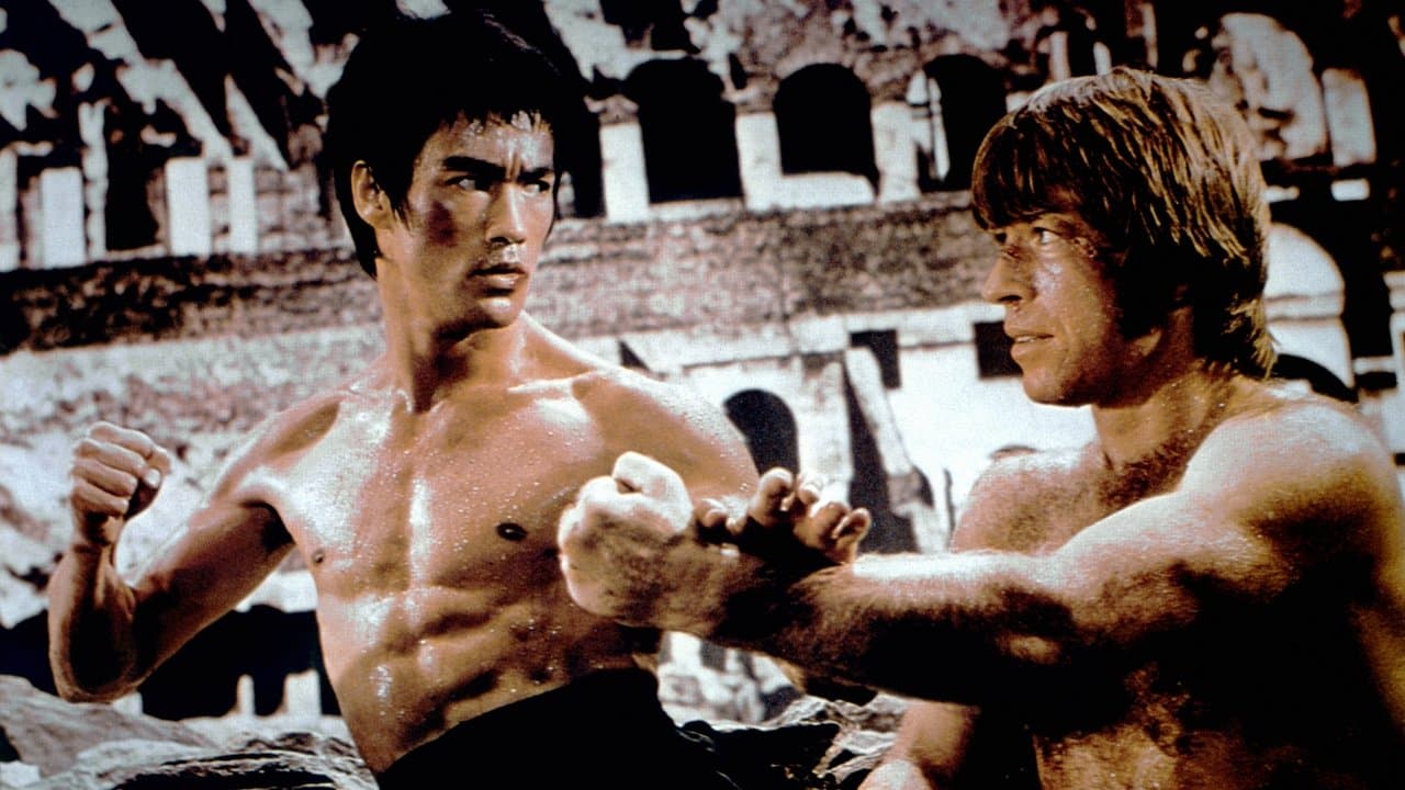 The Way of the Dragon (1972) backdrop