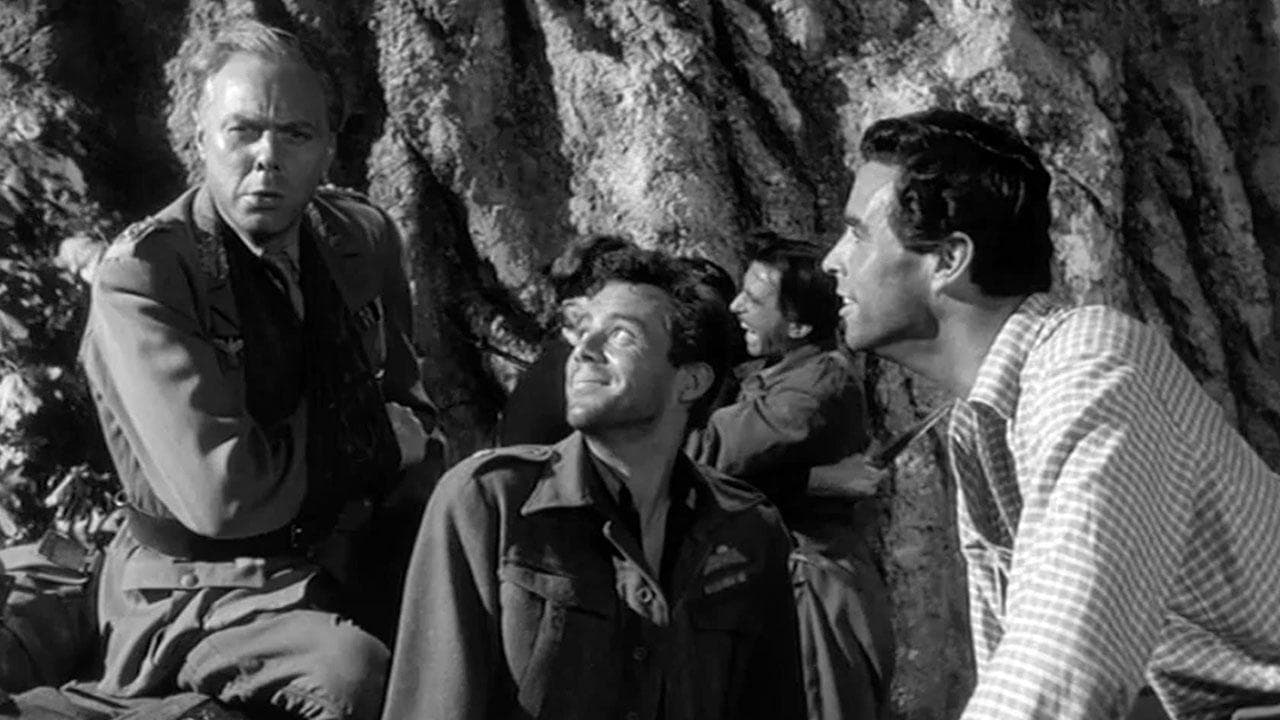Night Ambush (1957) backdrop