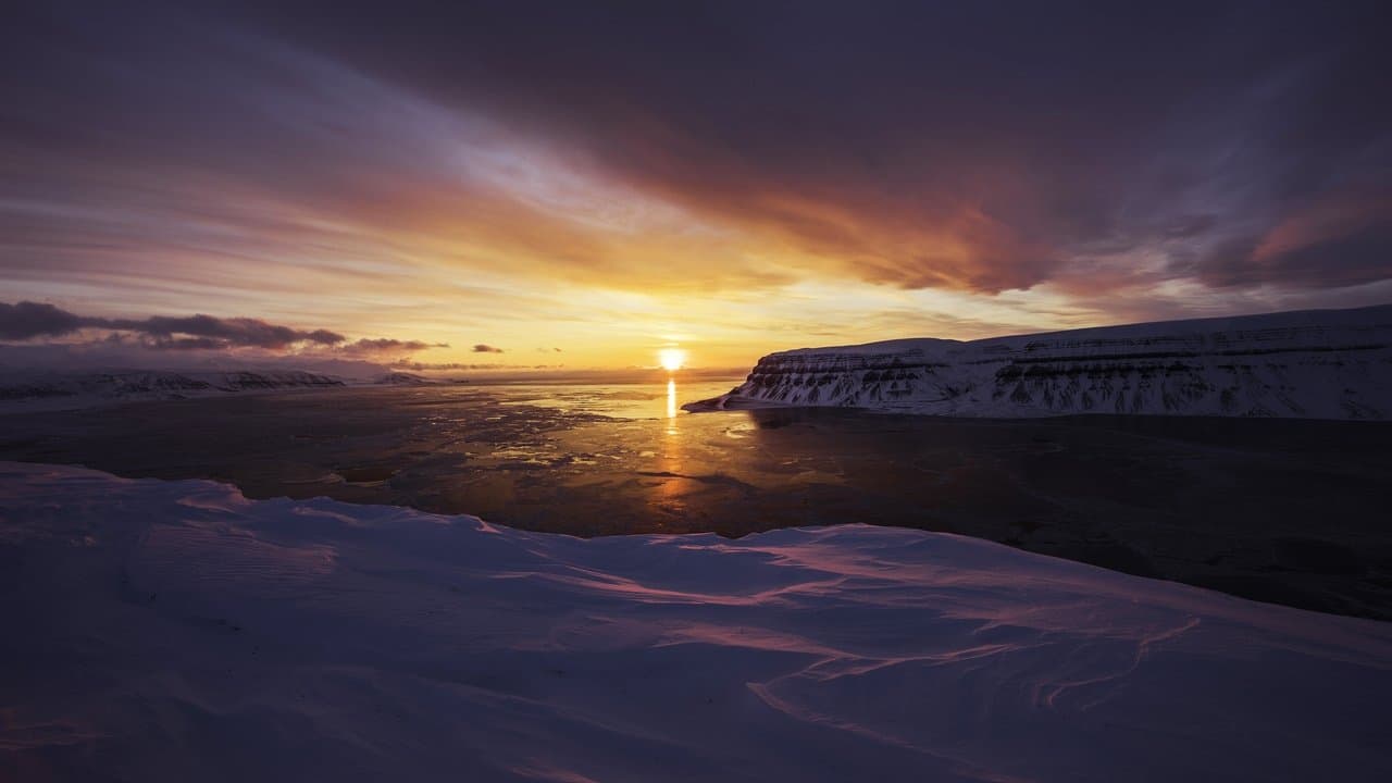 Ice on Fire (2019) backdrop