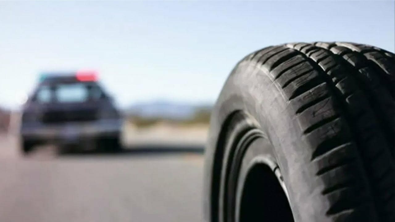 Rubber (2010) backdrop