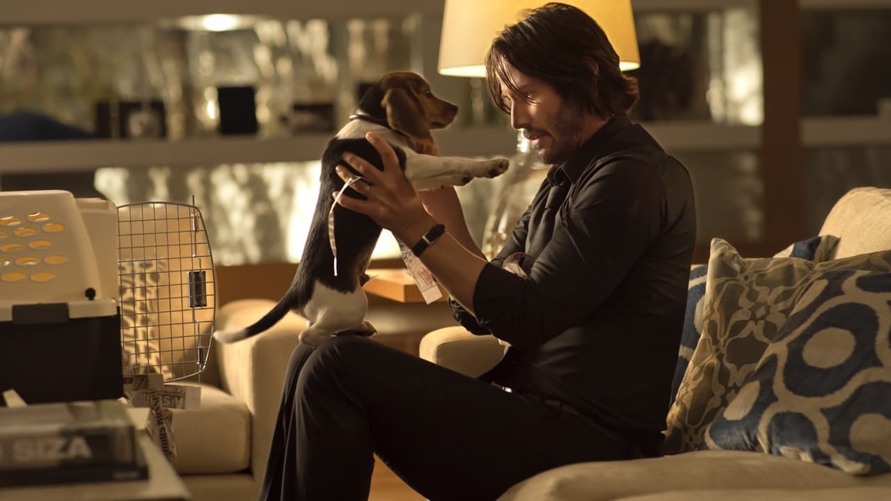 John Wick (2014) backdrop