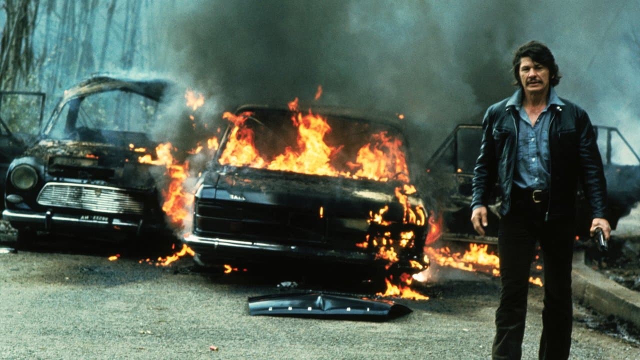 The Mechanic (1972) backdrop