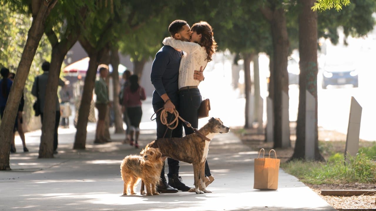 Dog Days (2018) backdrop