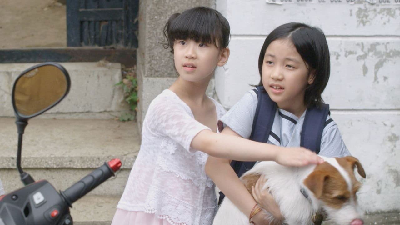 How to Steal a Dog (2014) backdrop