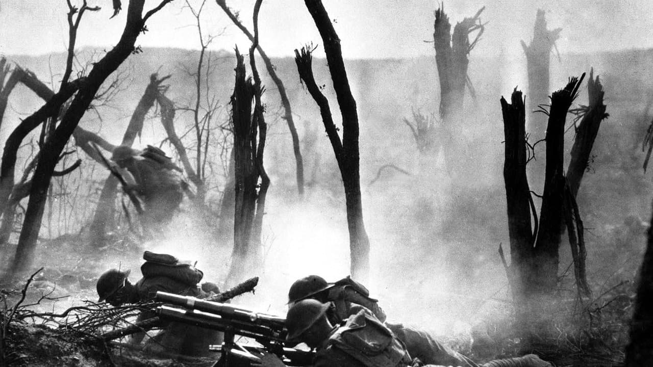 All Quiet on the Western Front (1930) backdrop