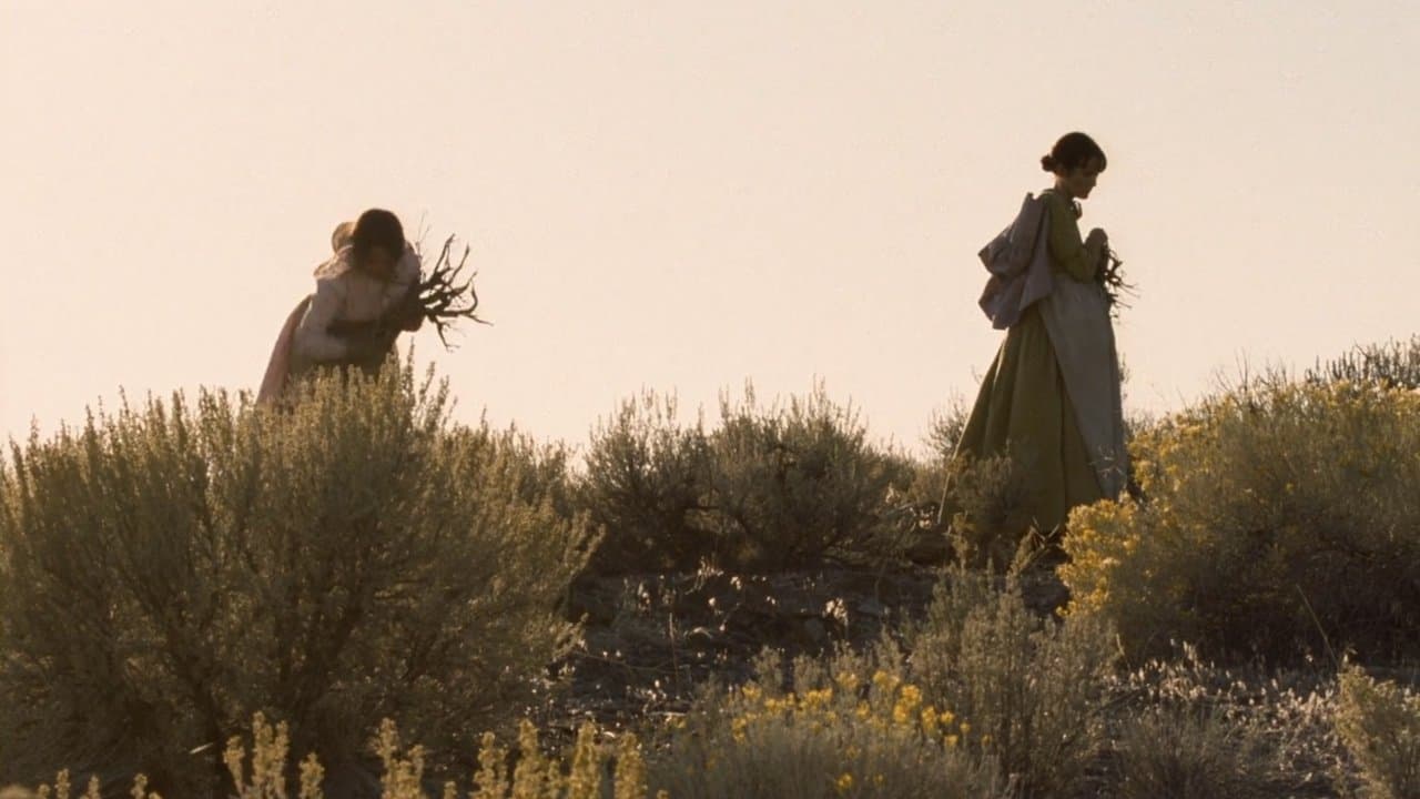 Meek’s Cutoff (2010) backdrop
