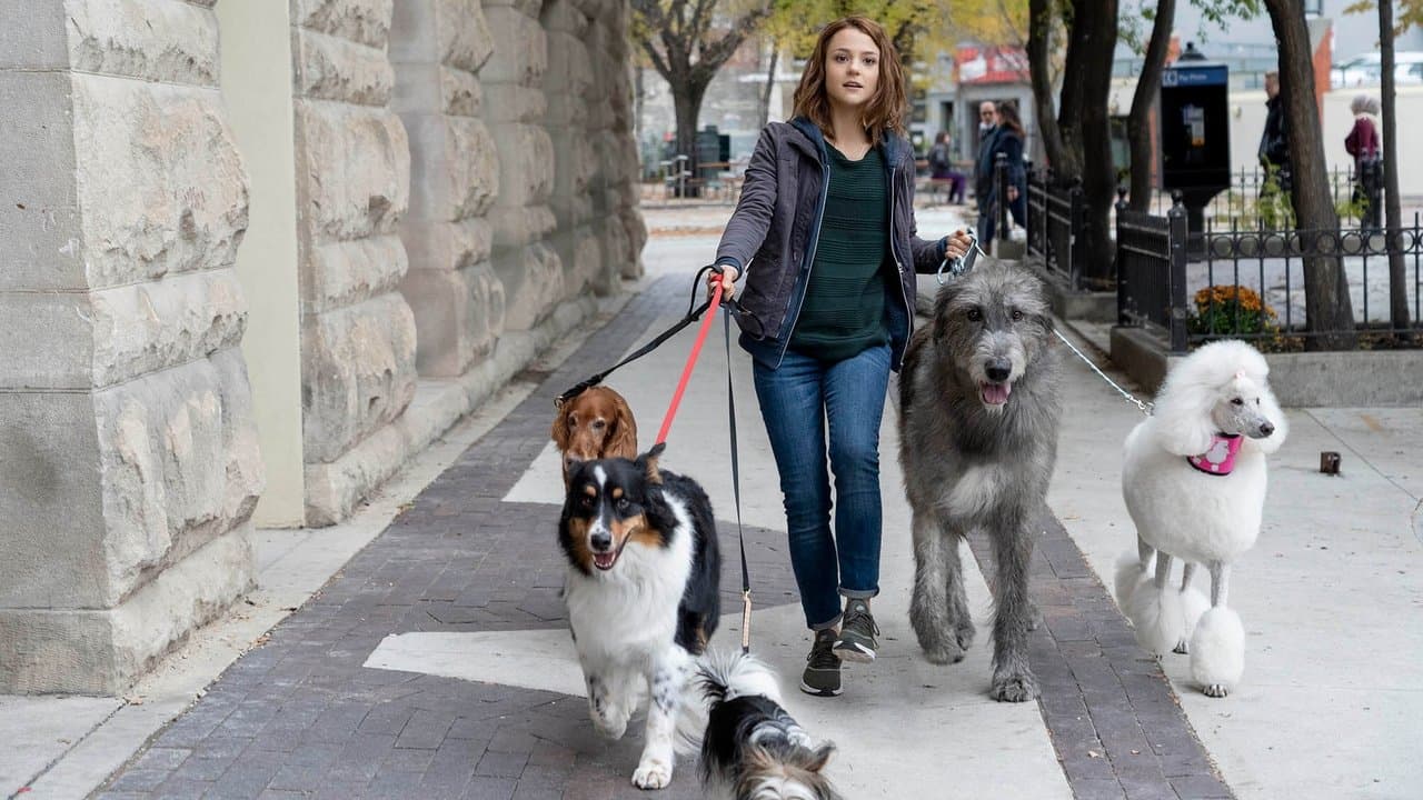 A Dog’s Journey (2019) backdrop