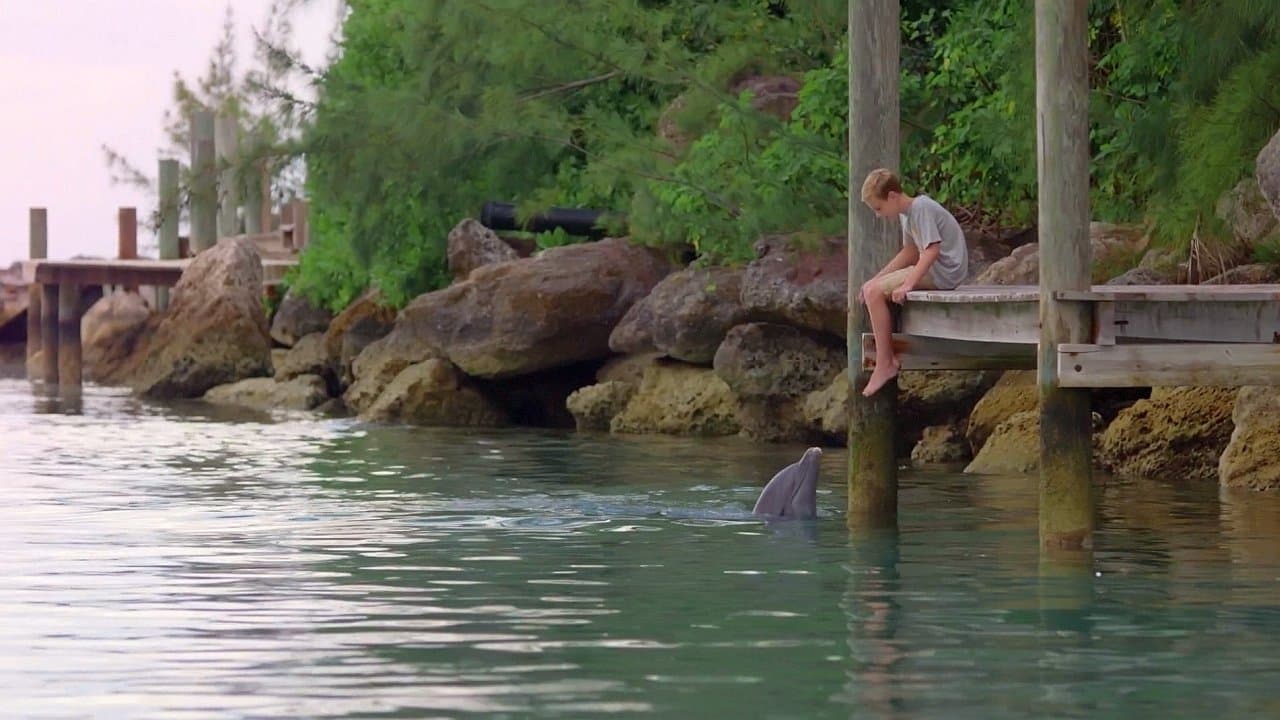 Dolphin Kick (2019) backdrop