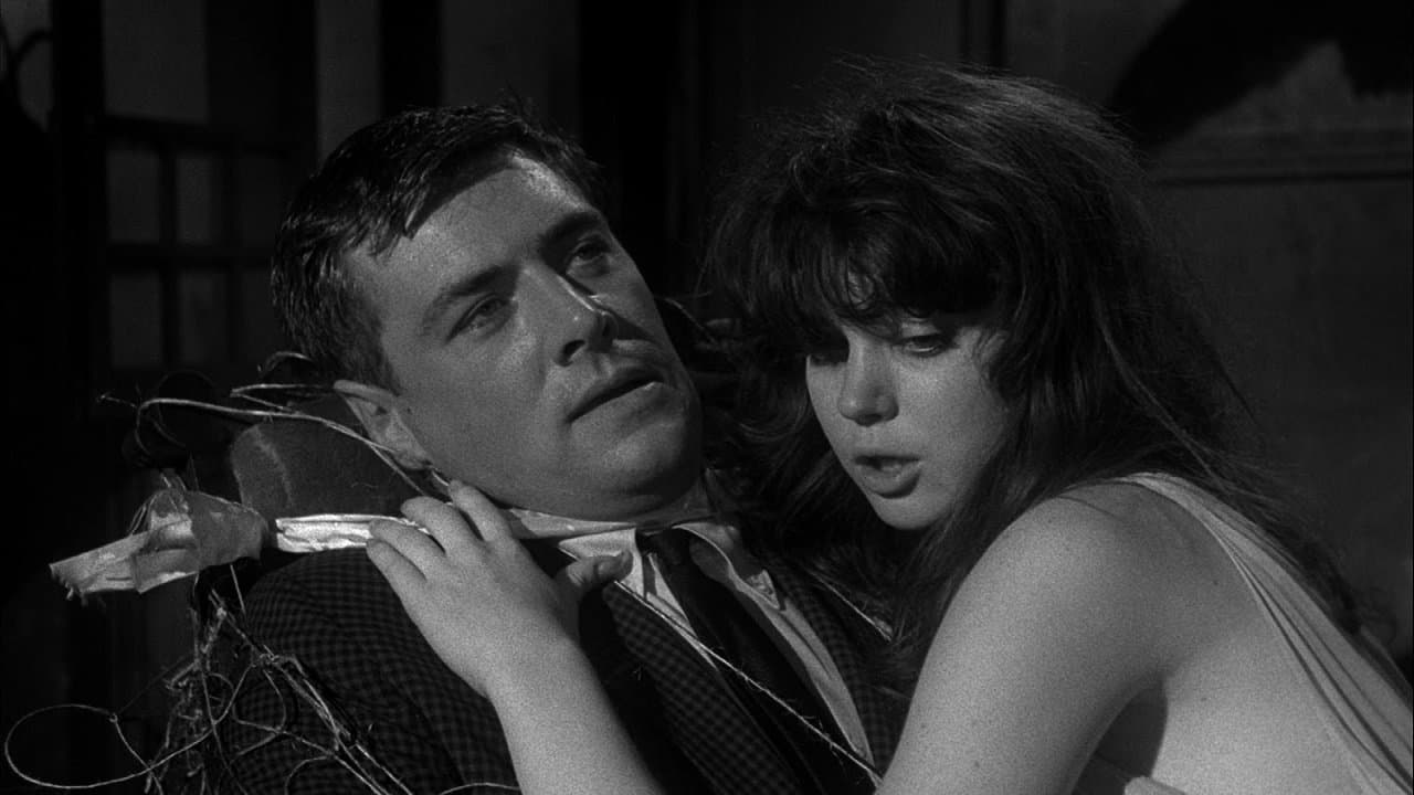Spider Baby or, the Maddest Story Ever Told (1967) backdrop
