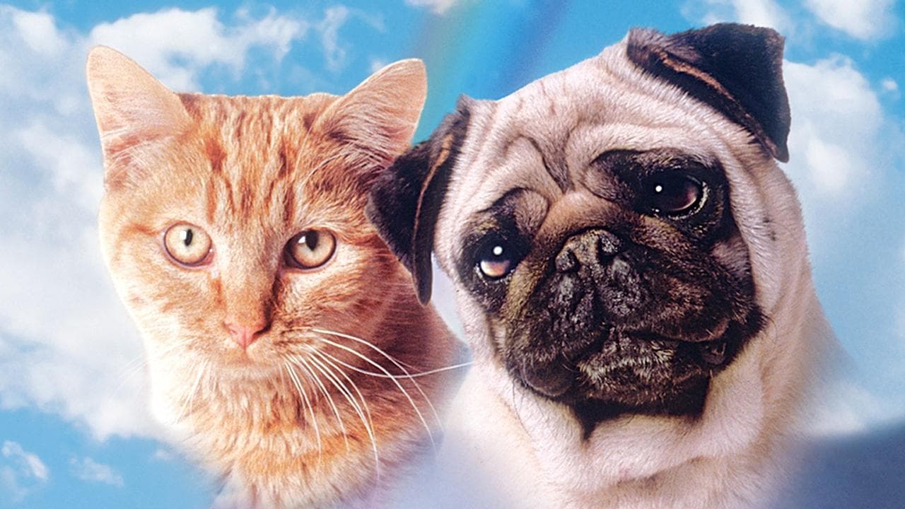 The Adventures of Milo and Otis (1986) backdrop