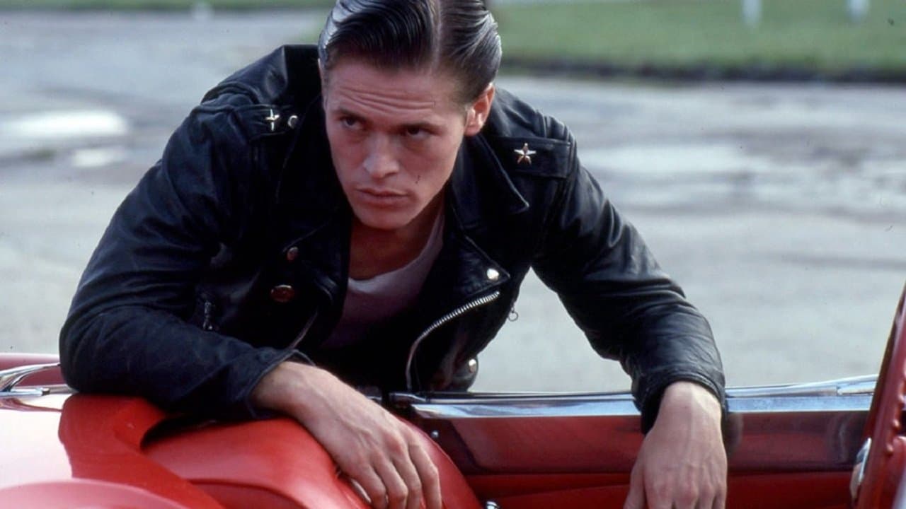 The Loveless (1981) backdrop