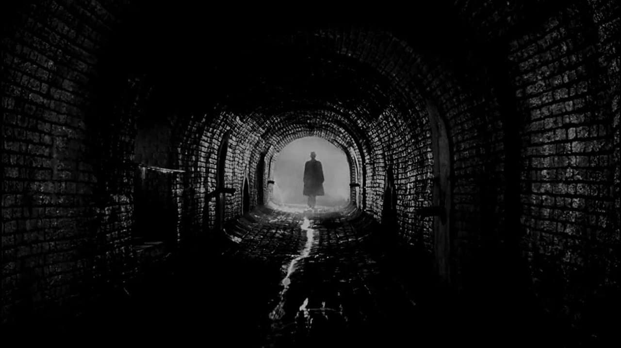 The Third Man (1949) backdrop