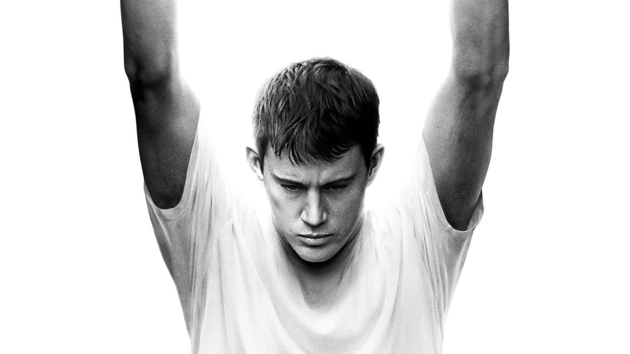 Fighting (2009) backdrop