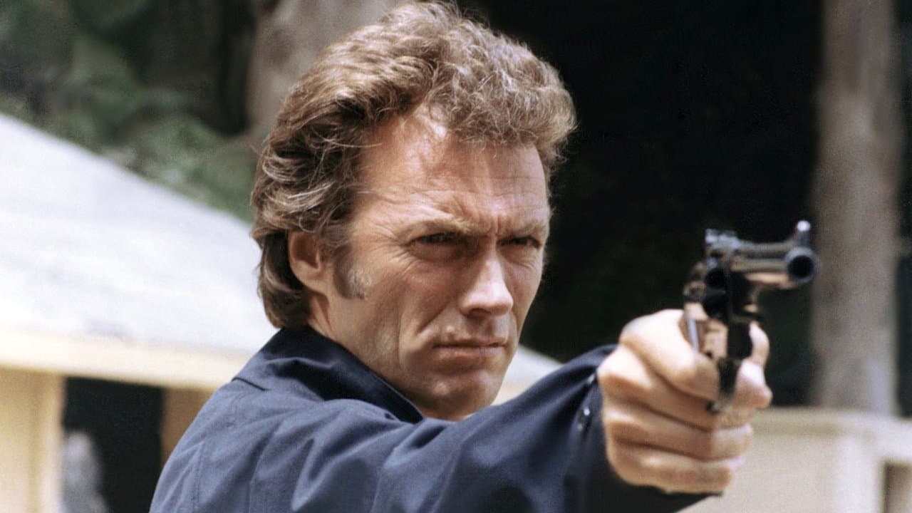 Magnum Force (1973) backdrop