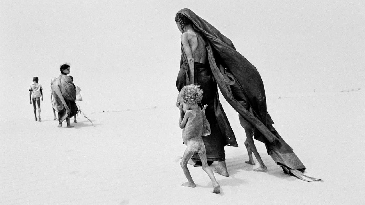 The Salt of the Earth (2014) backdrop