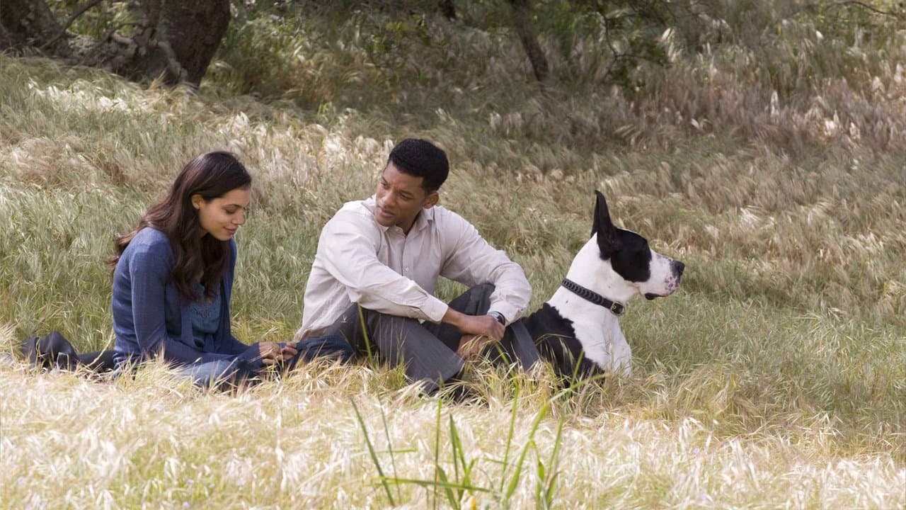 Seven Pounds (2008) backdrop