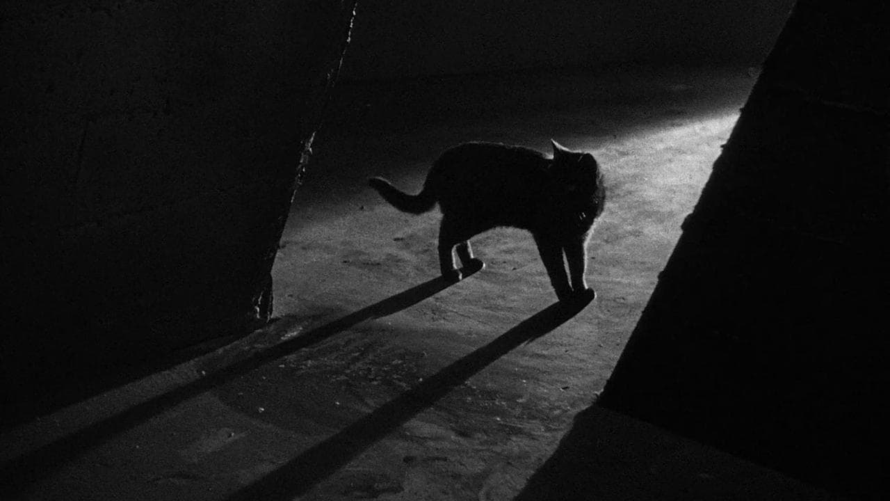 The Black Cat (1934) backdrop