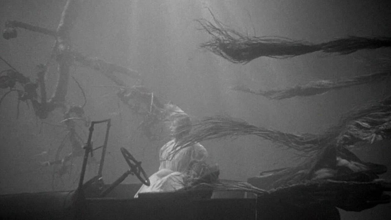 The Night of the Hunter (1955) backdrop
