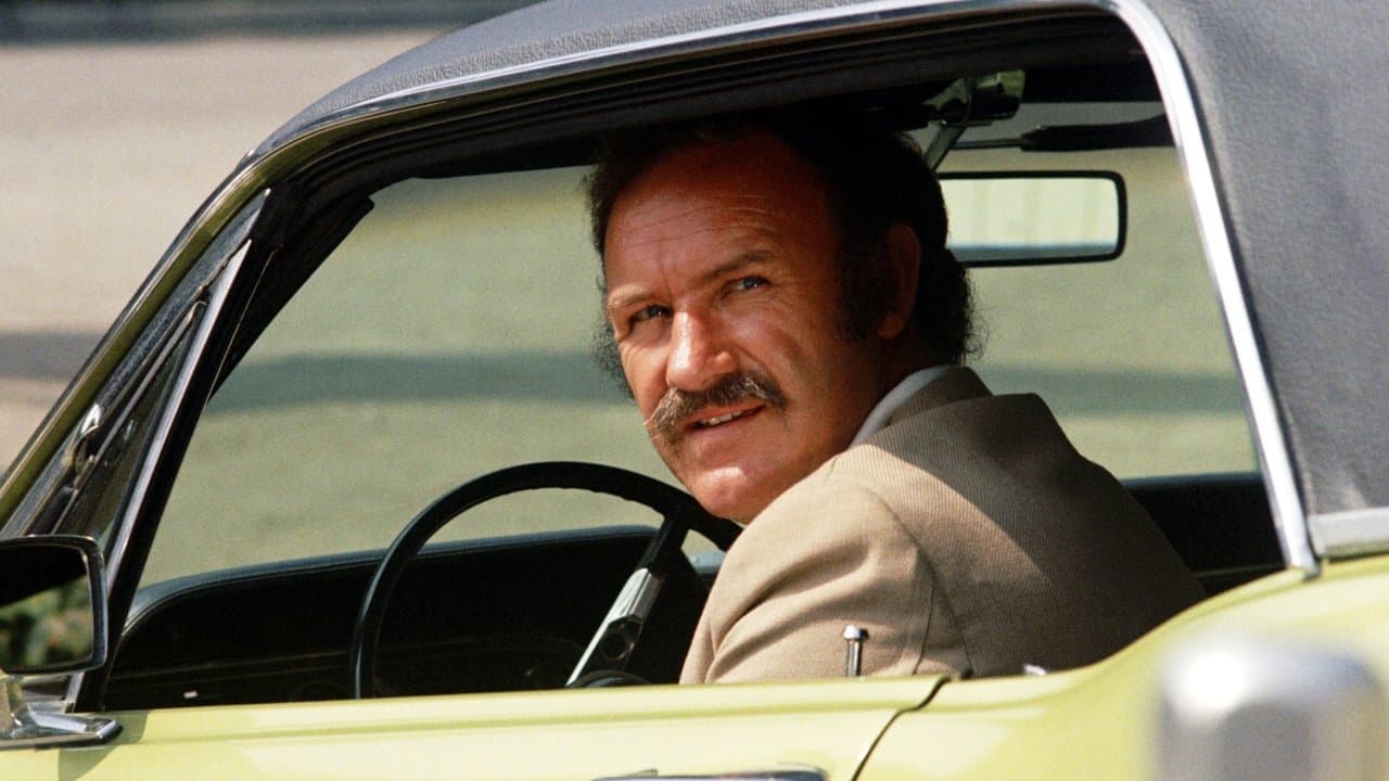 Night Moves (1975) backdrop