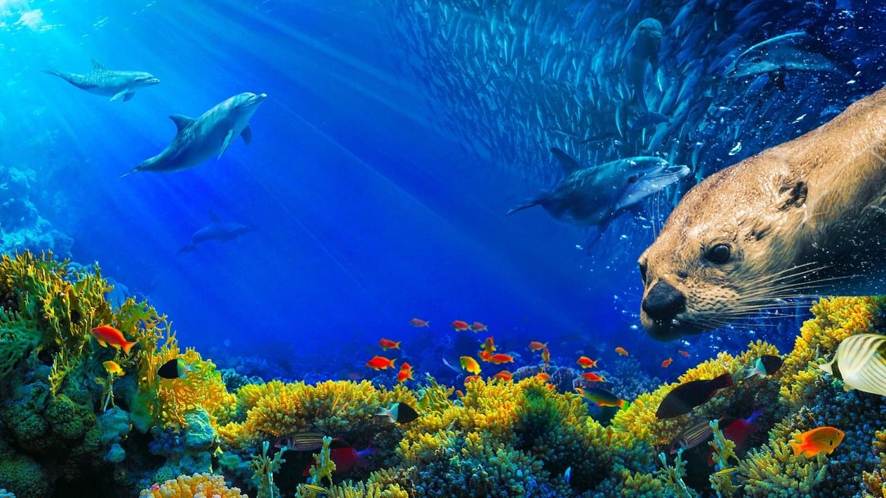 Oceans: Our Blue Planet (2018) backdrop