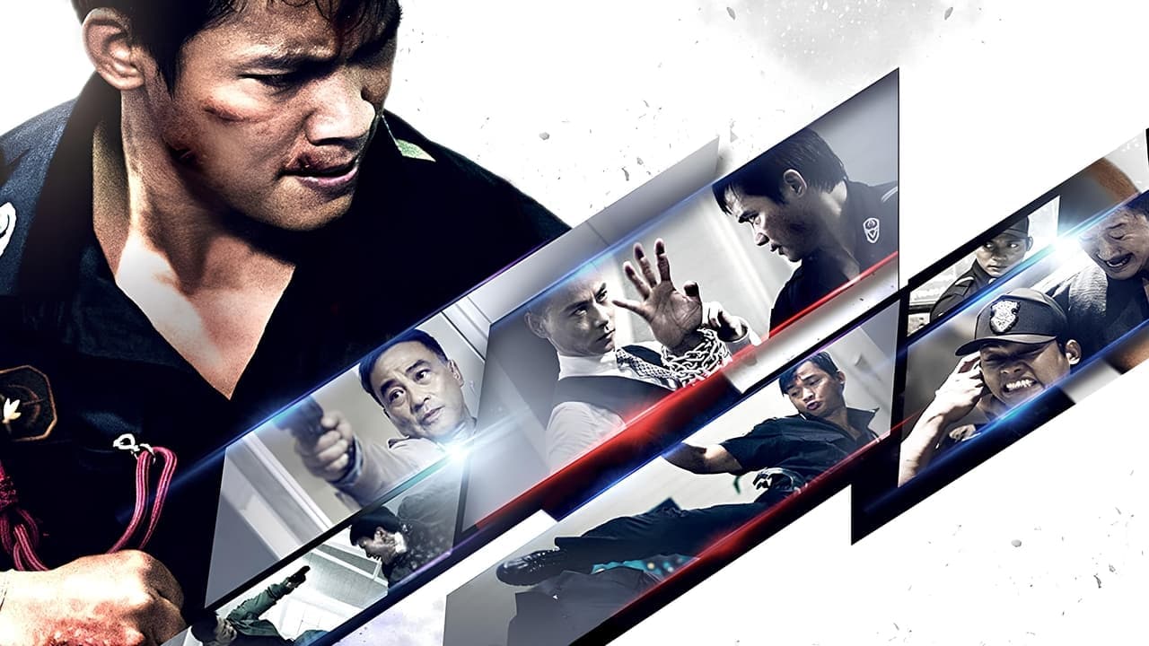 Kill Zone 2 (2015) backdrop