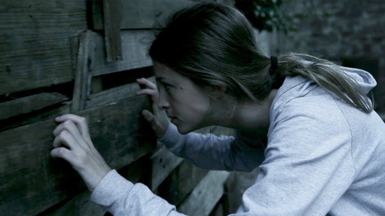 The Silent House (2010) backdrop