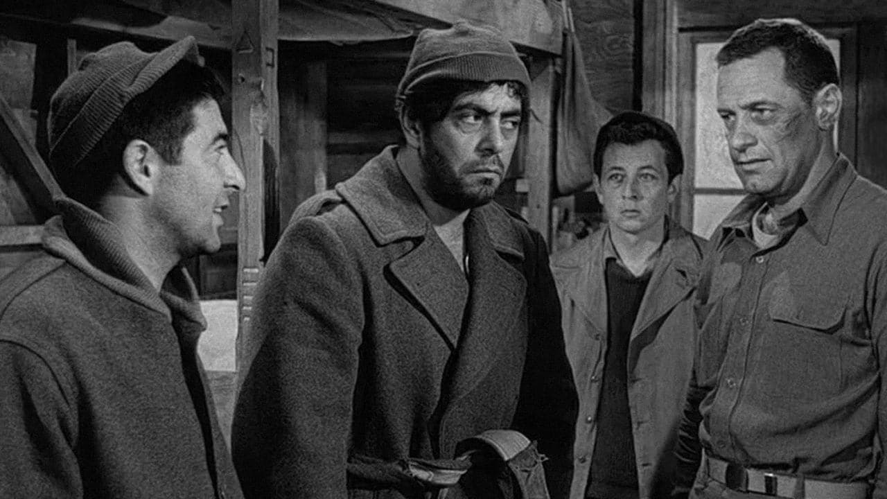 Stalag 17 (1953) backdrop
