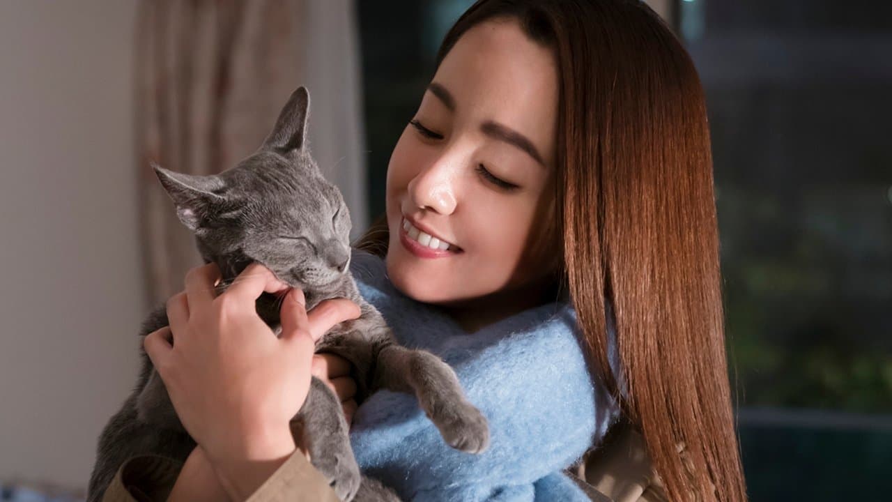 The Cat In Their Arms (2018) backdrop