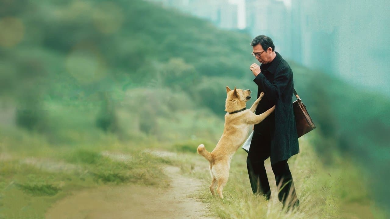 Hachiko (2023) backdrop