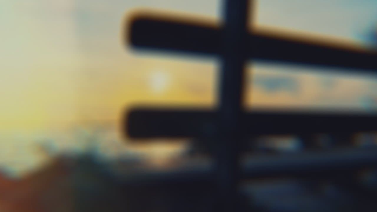 Noise (2023) backdrop