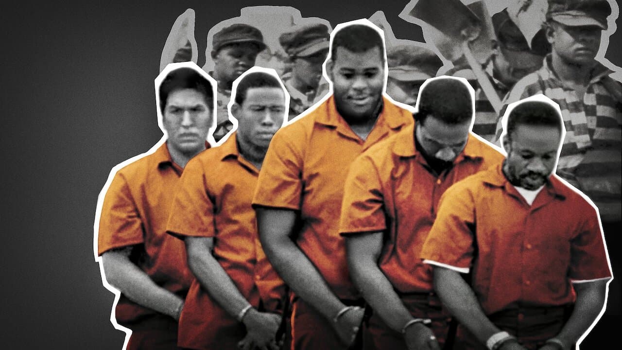 13th (2016) backdrop