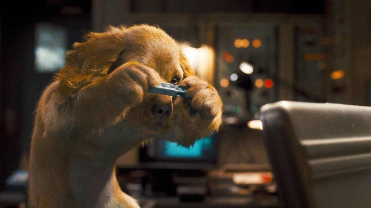Cats & Dogs: The Revenge of Kitty Galore (2010) backdrop