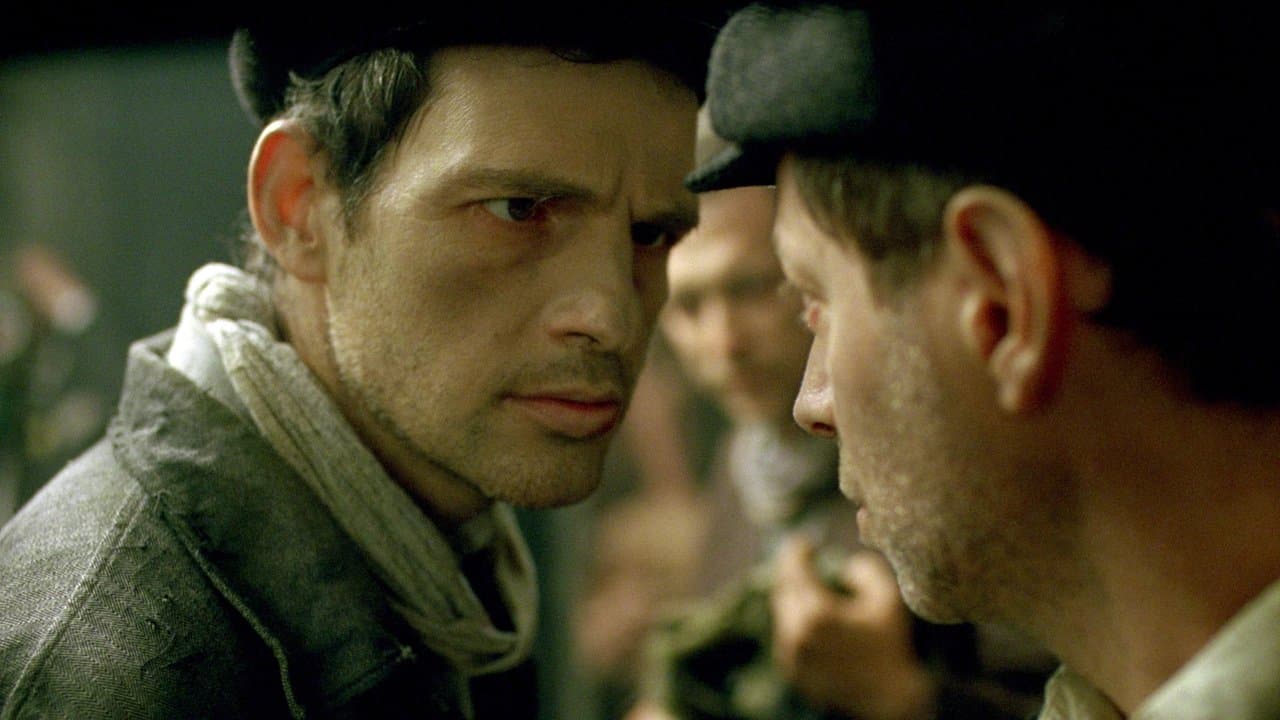 Son of Saul (2015) backdrop