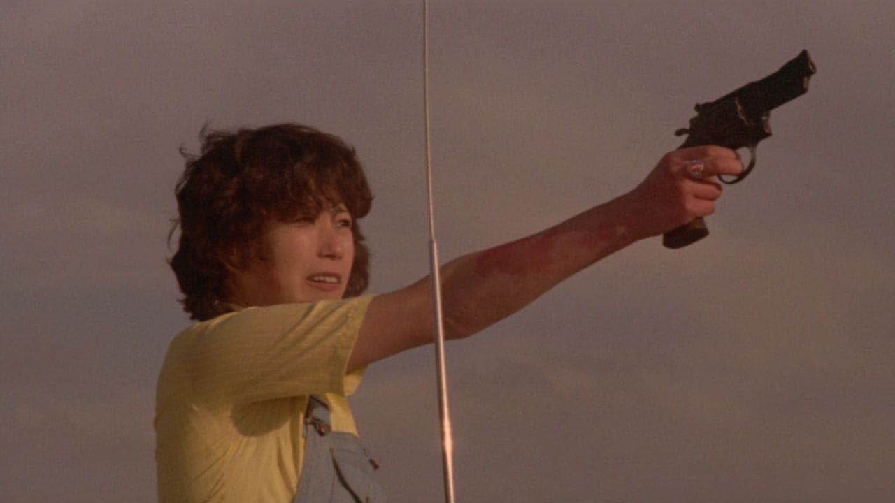 Girl’s Pleasure: Man Hunting (1977) backdrop