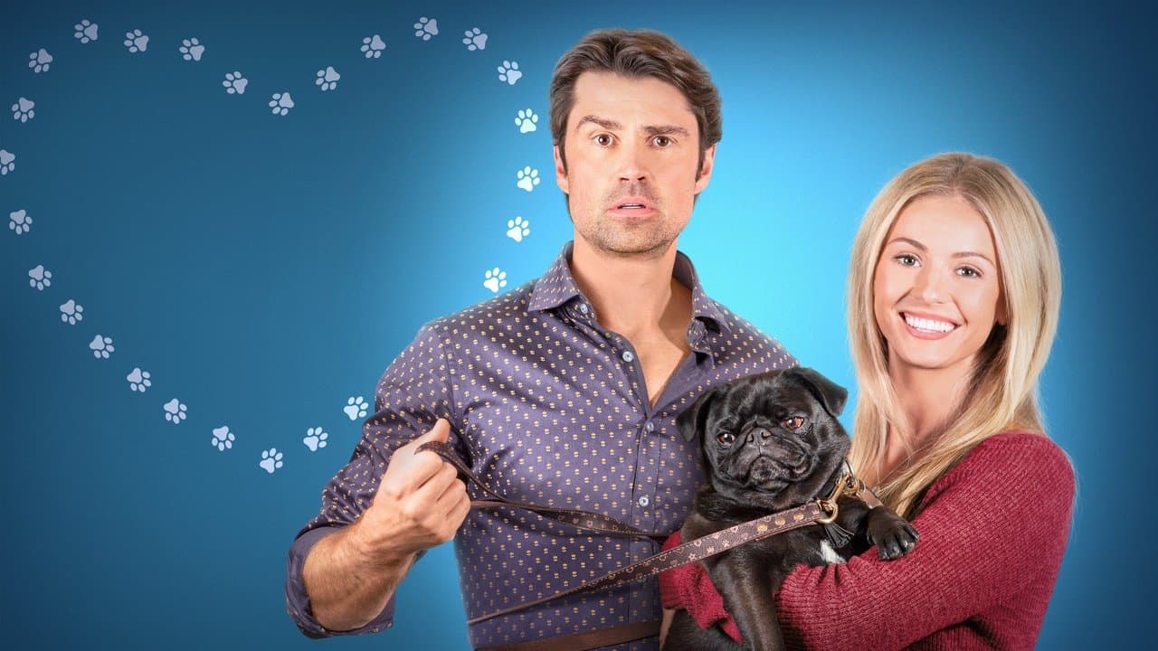 The Dog Lover’s Guide to Dating (2023) backdrop